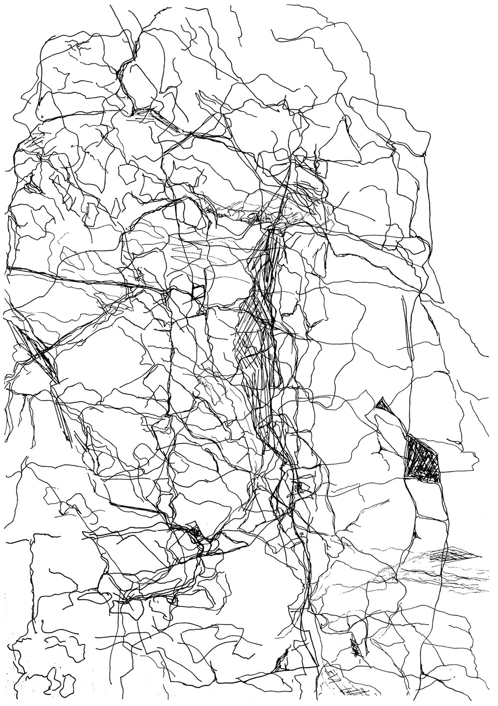 Cecilia_Boyd-Fowlers Gap 2021