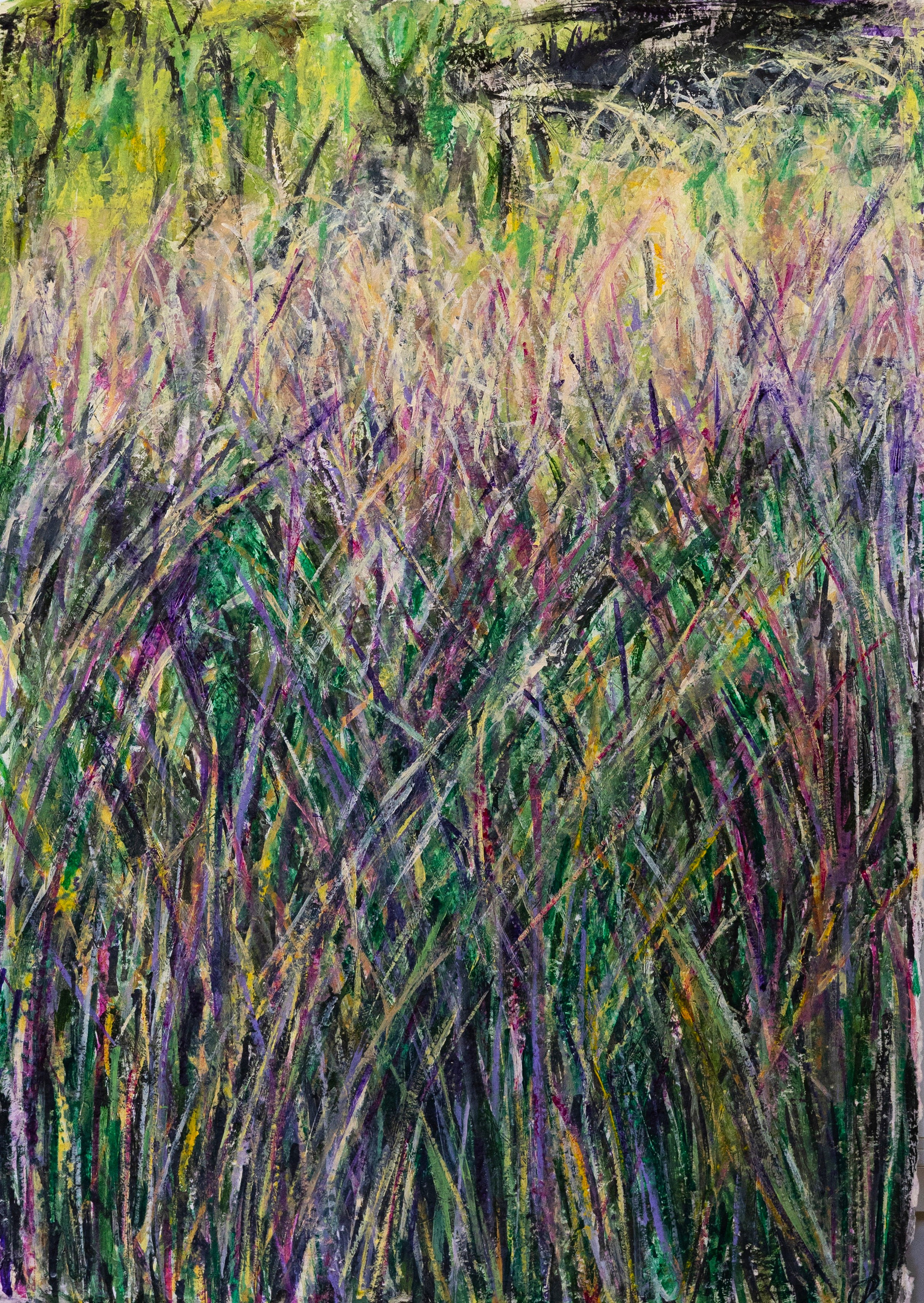 Cecilia Boyd, Abundance 3, 2024