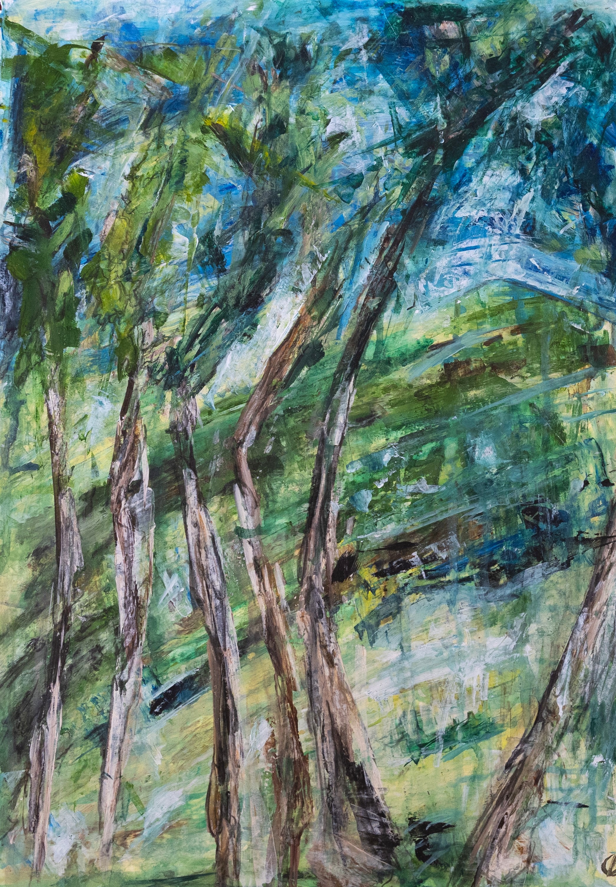 Cecilia Boyd, Central West 1, 2025