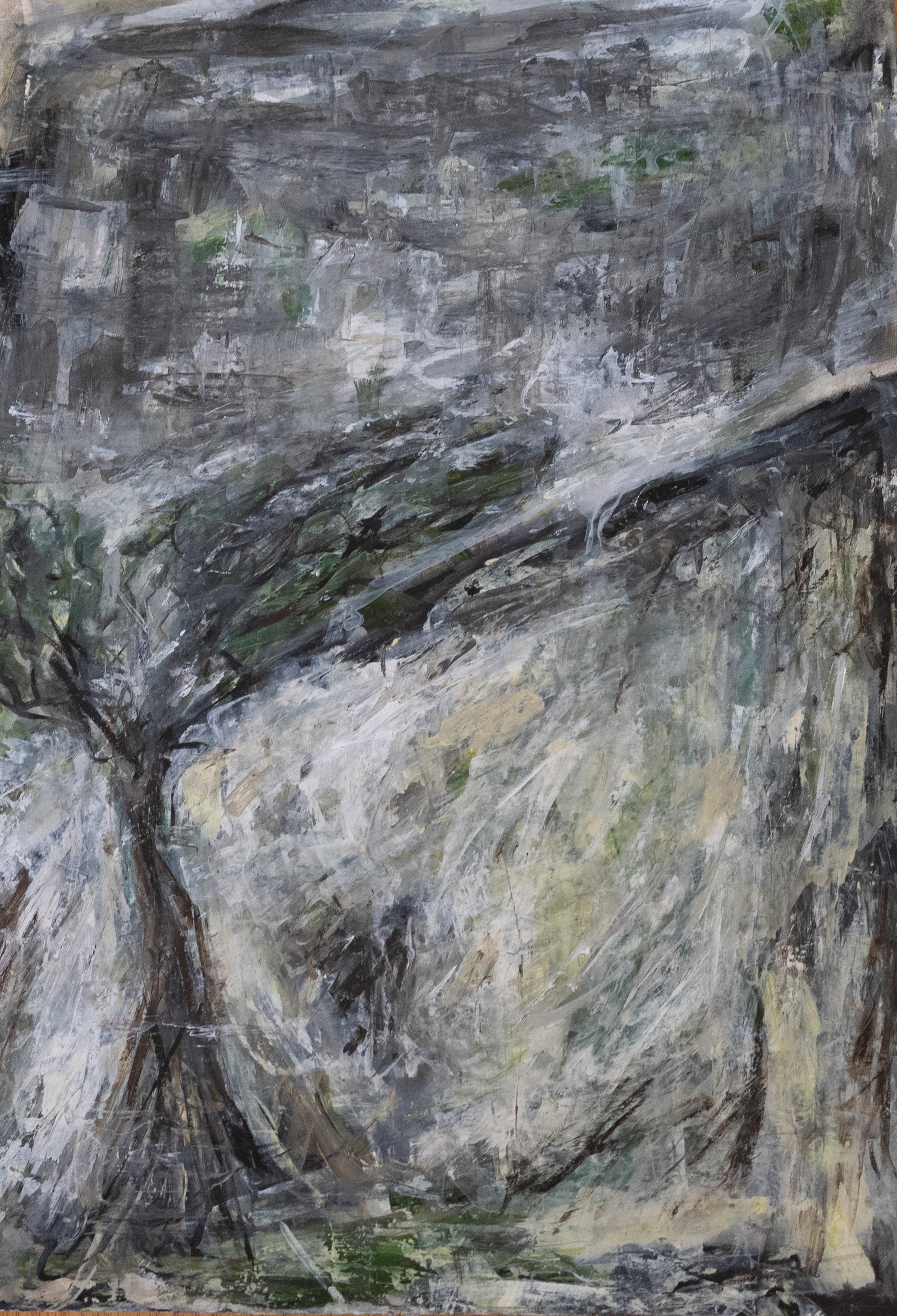 Cecilia Boyd, Northern NSW 1, 2025