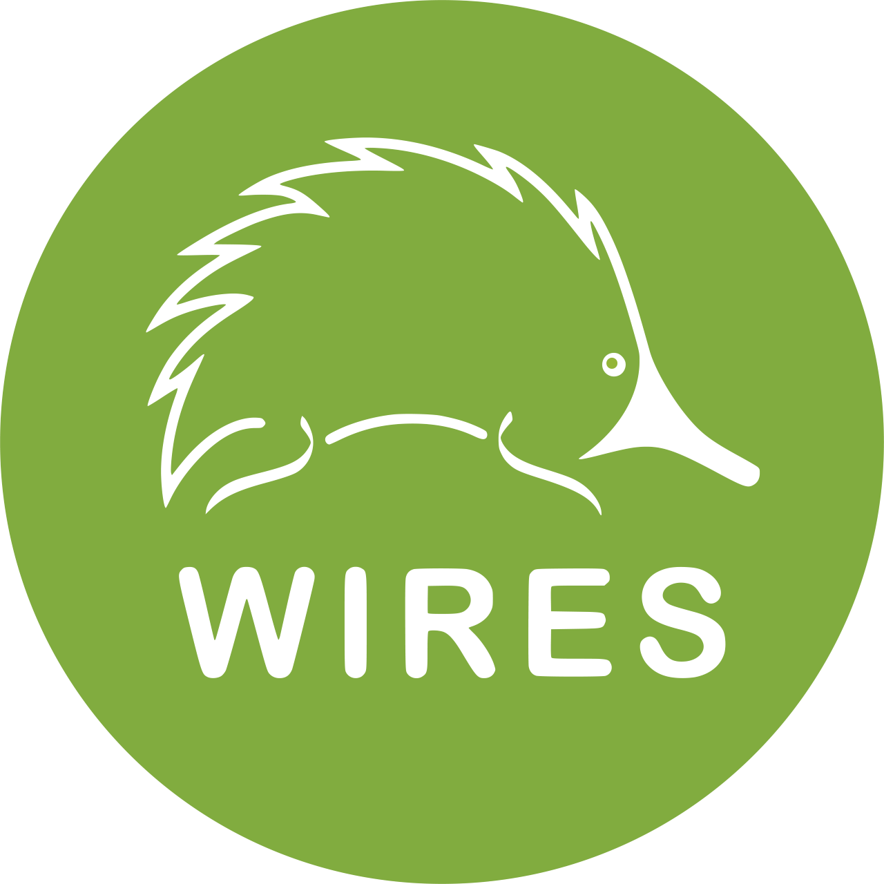 wires logo